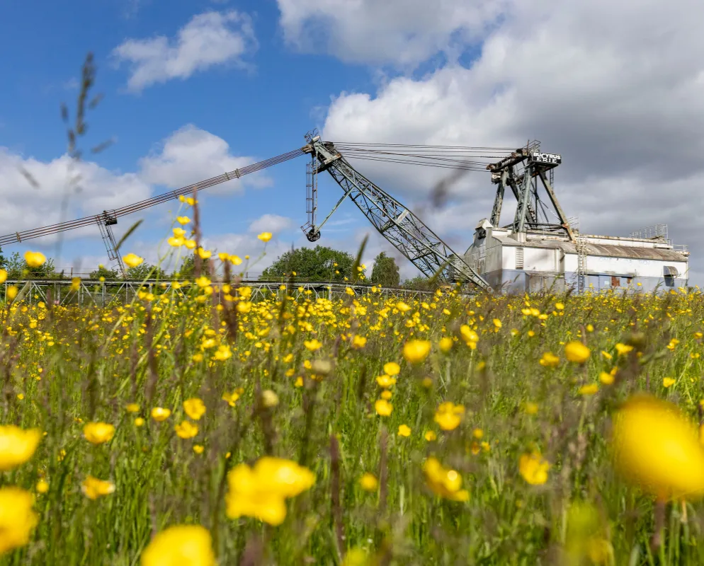 History Walk- RSPB St Aidan's