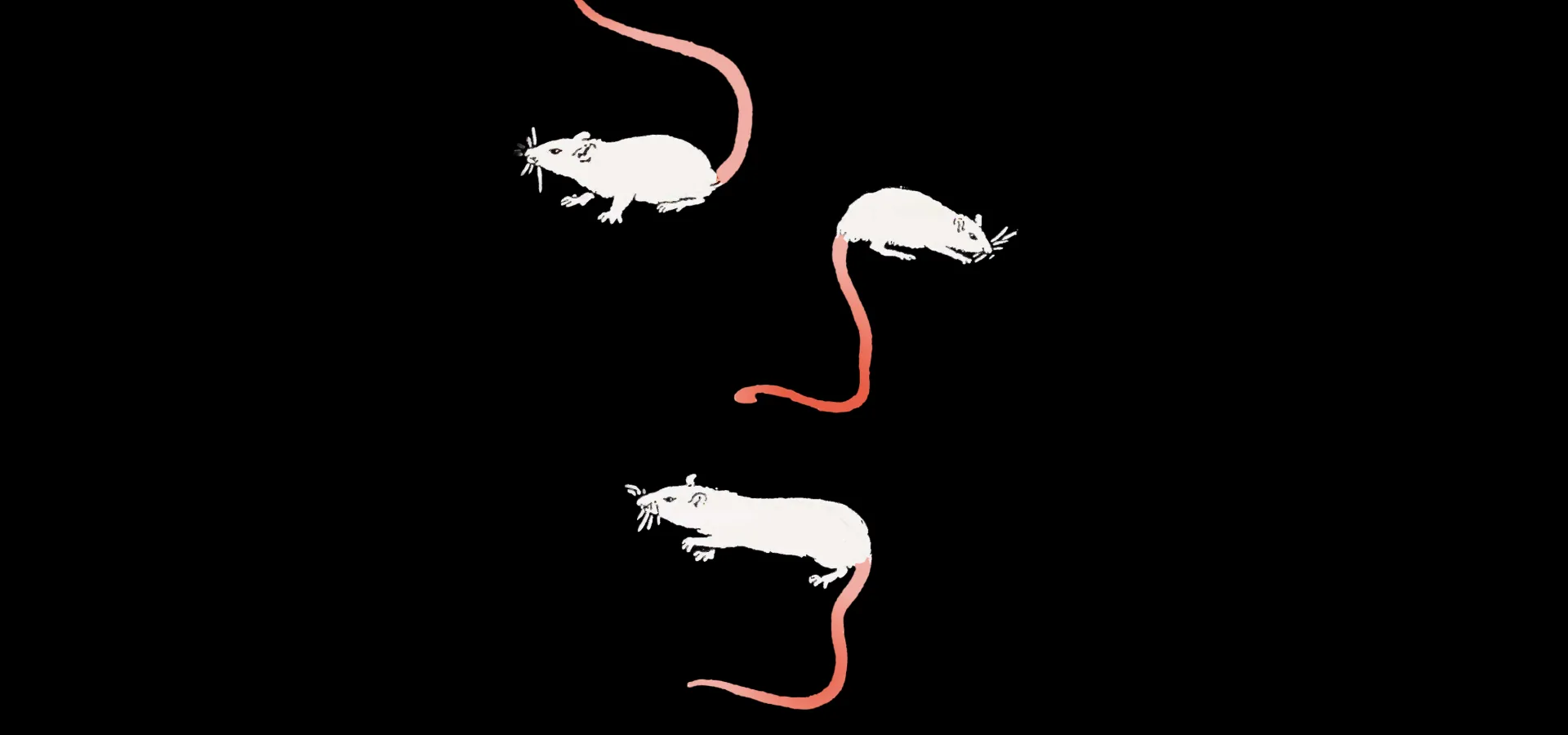 Ratcatcher at Carriageworks Theatre