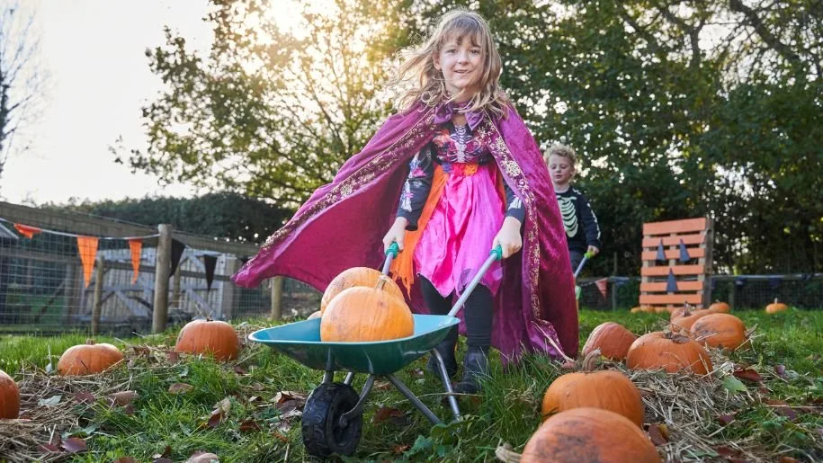 Halloween at Godstone Farm