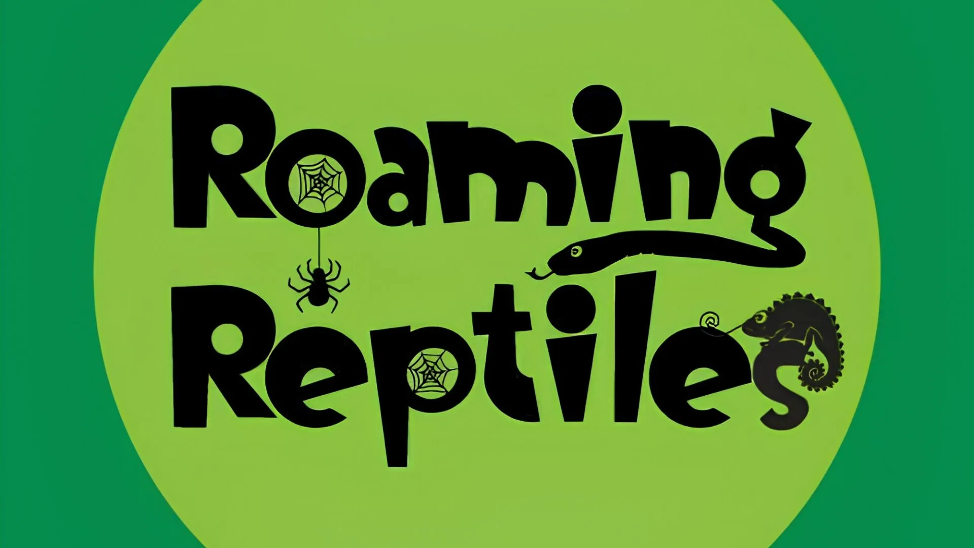 Roaming Reptiles at Lyde Court at Lyde Court
