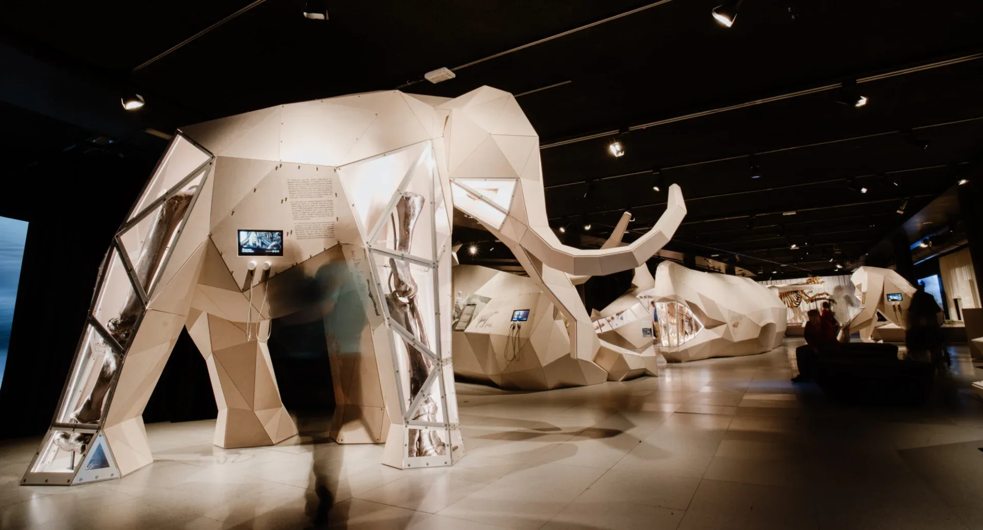 Giants at National Museum of Scotland