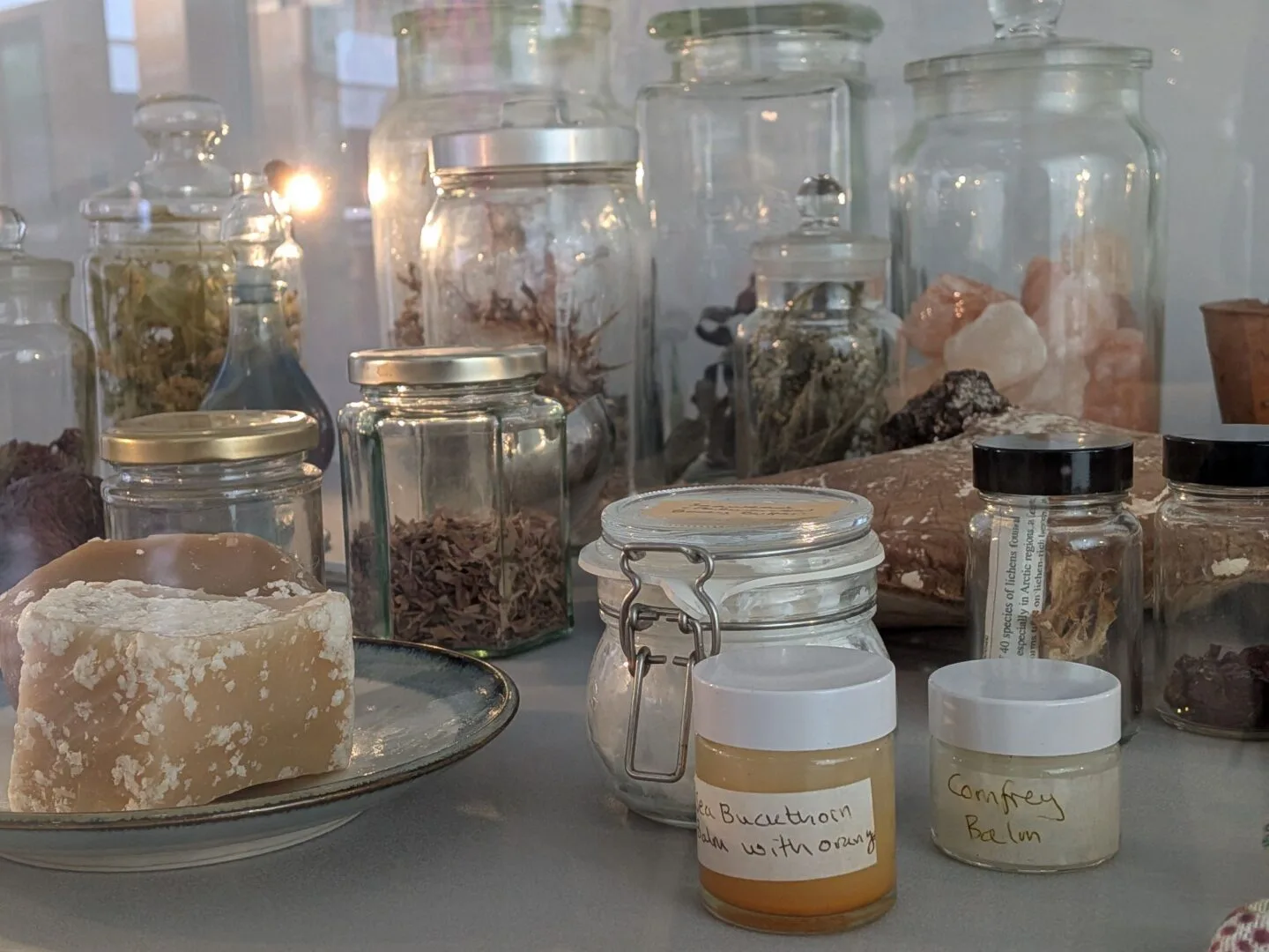Herbology Exhibition at Royal Botanic Garden Edinburgh