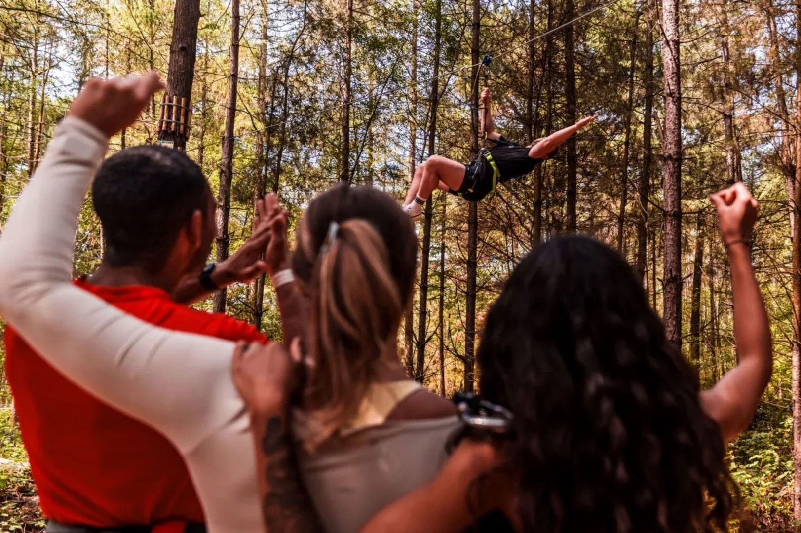 Treetop Challenge: Adults-only