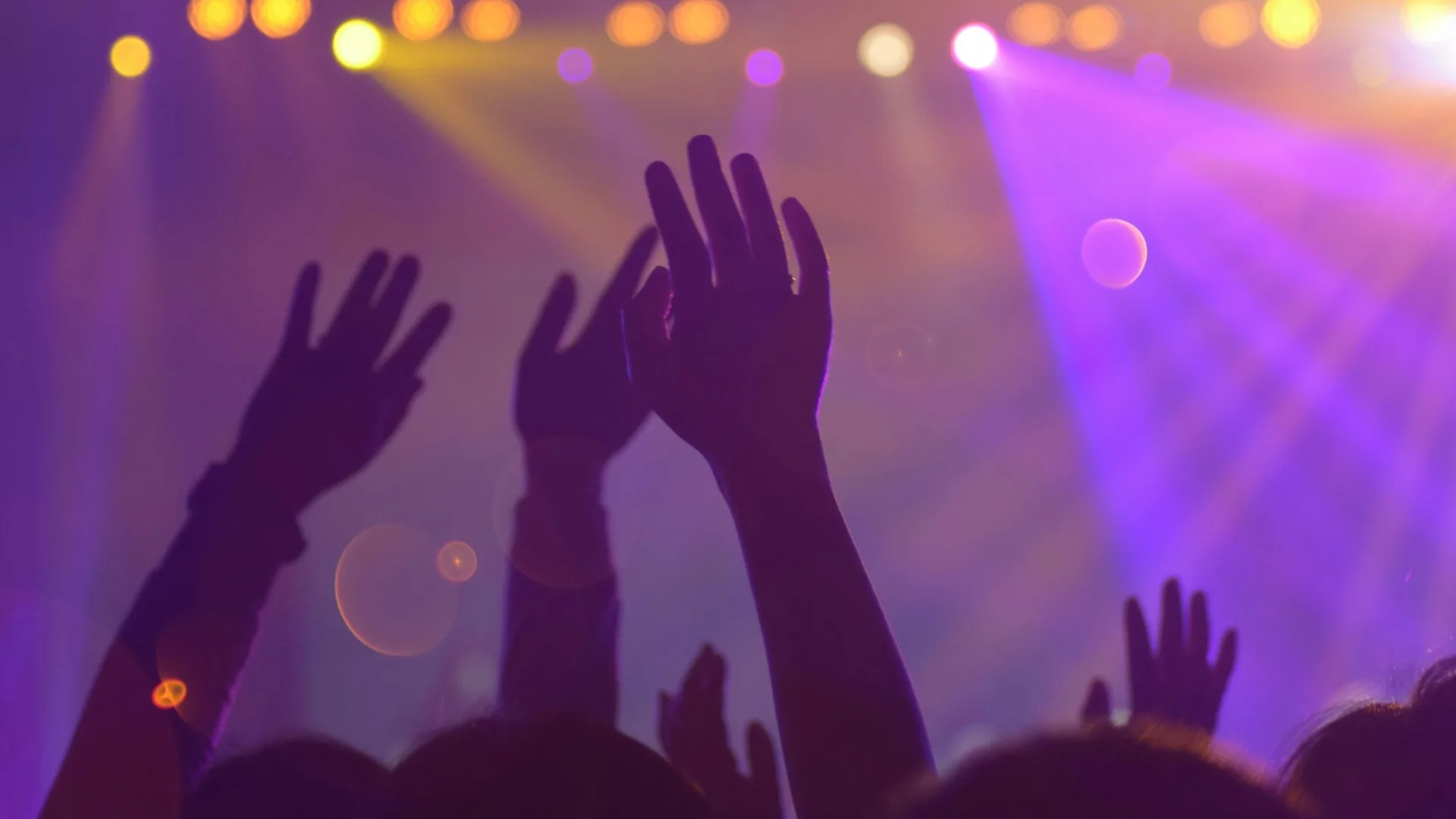 Good Vibes at the Cathedral – Presented by Day Sessions at Newcastle Cathedral