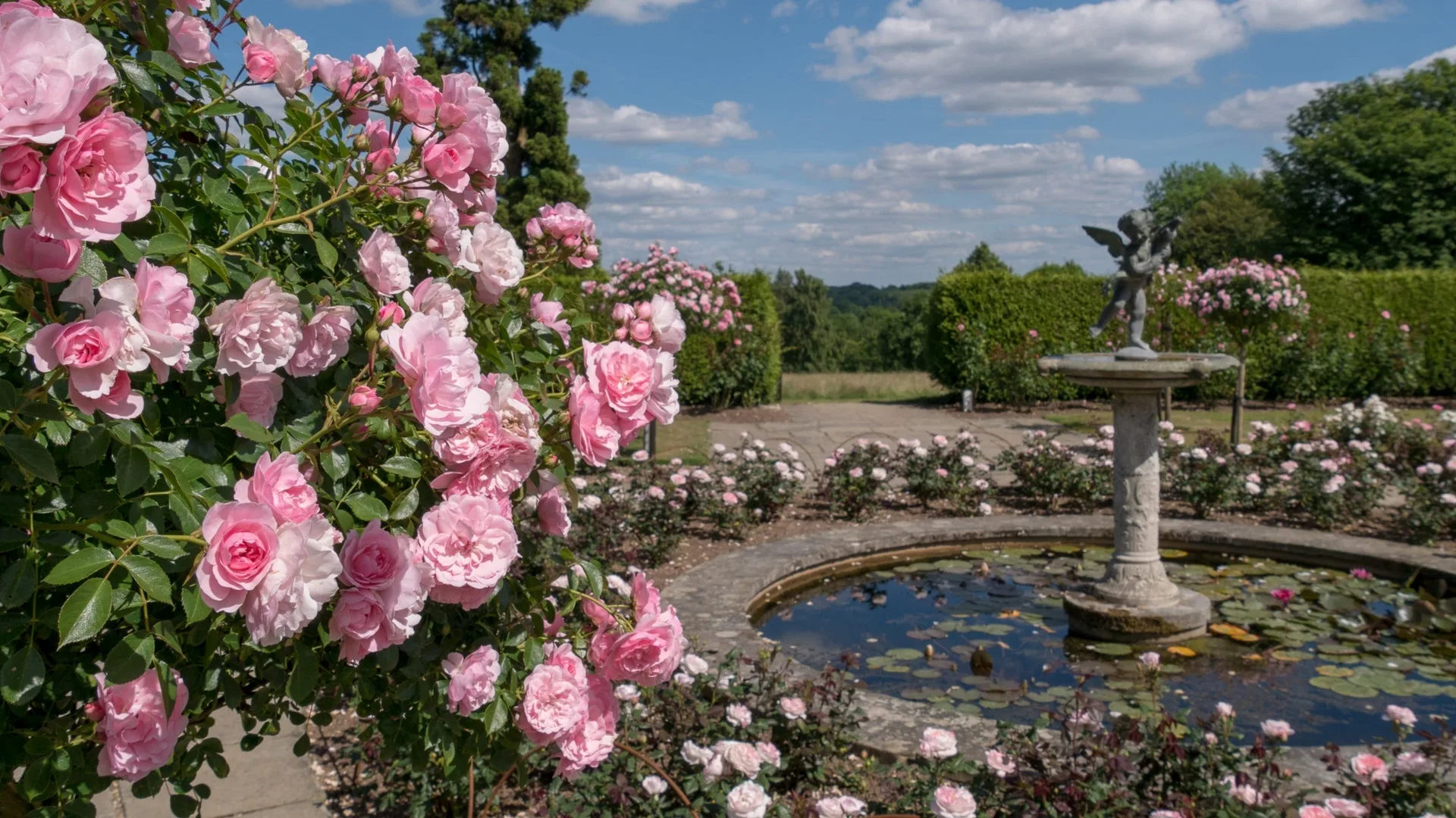 Autumn Talks at Emmetts Garden: Friday Evening – Witching the Wild Year EARLY BIRD at Emmetts Garden