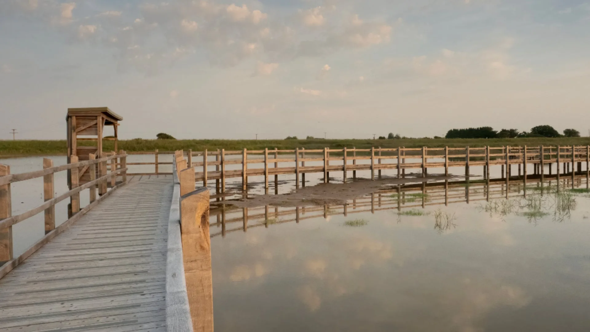 Summer weekly wellness walks at Sandilands