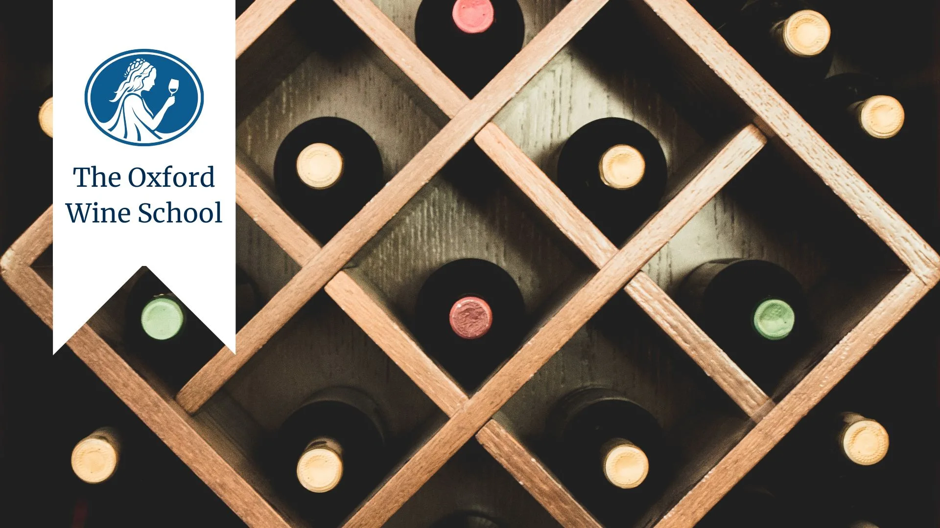 WSET Award in Wines Level One