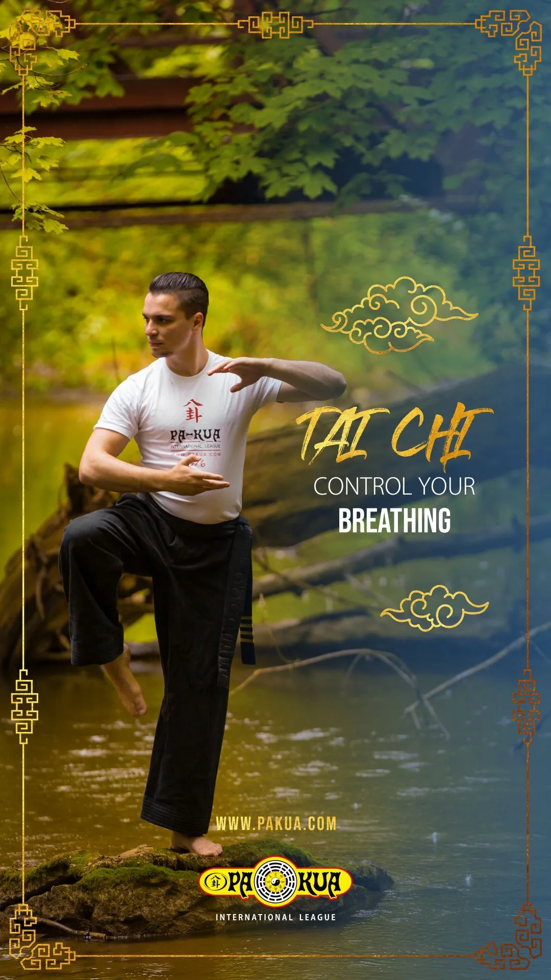 Tai Chi Cosmodynamics at Pa-Kua Cambridge