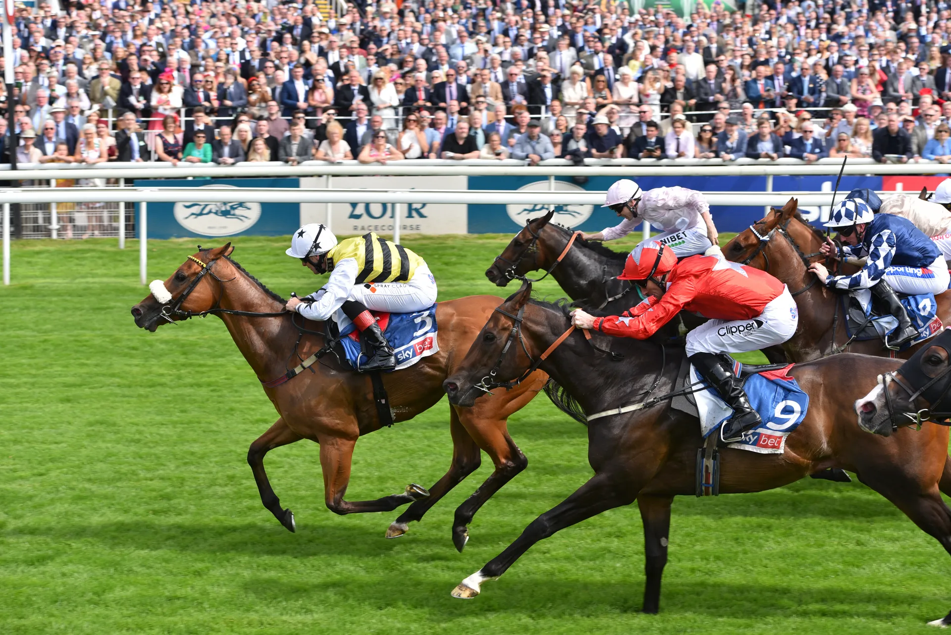 Sky Bet Ebor Festival - Juddmonte International - York Racecourse