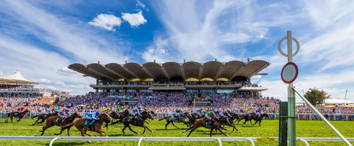 Goodwood Season Finale: Sunday 11th October