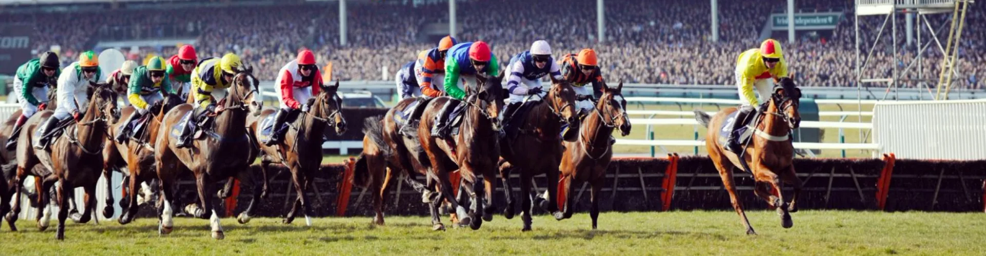 Cheltenham Festival Day 1: Champions Day at Cheltenham Racecourse