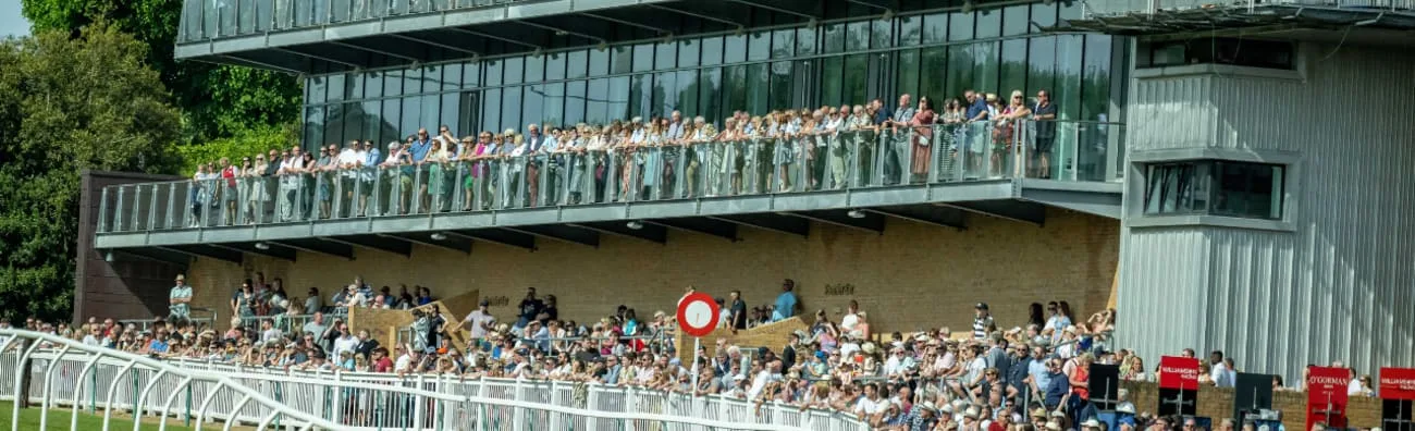 Ladies Evening ft. The Take That Experience - Fontwell Park Racecourse at Fontwell Park Racecourse
