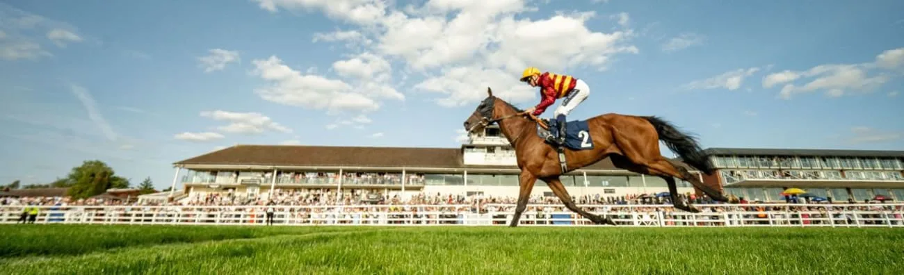 Summer Afternoon Racing - Lingfield Park Racecourse