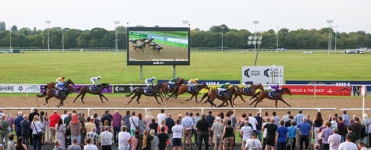 Festive Raceday with Live DJ - Wolverhampton Racecourse at Wolverhampton Racecourse