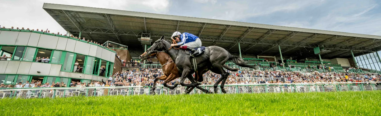 Festival Day 3 - Brighton Racecourse at Brighton Racecourse