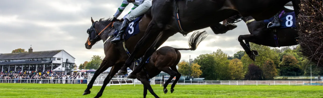 DragonBet Welsh Racing Festival Day 2 - Chepstow Racecourse at Chepstow Racecourse