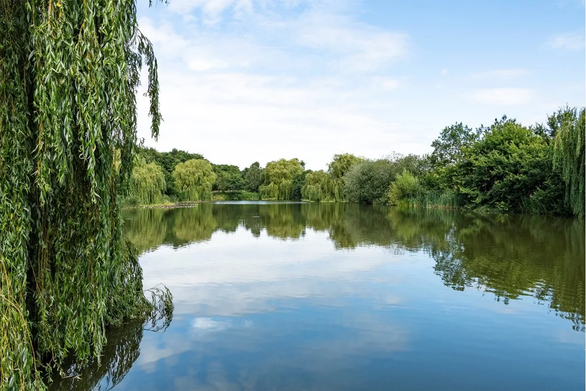 Beginners Coaching Session - 8.30am Layer Marney Reservoirs at Layer Marney Reservoirs