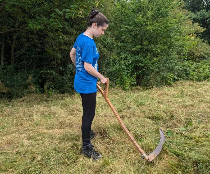 Volunteering @ Shakespeare Meadow