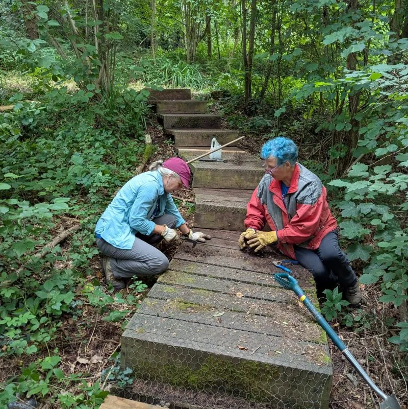 Volunteering @ Lincoln Hill at Severn Gorge Countryside Trust