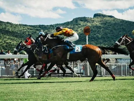 Race Meeting