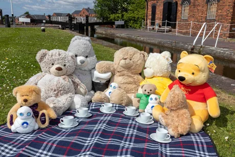 Teddy Bears’ Picnic