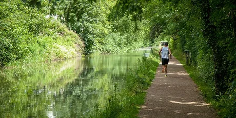 9 Locks Autumn 10k Challenge