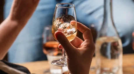 Wine Tasting Basics