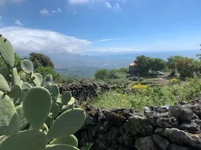 The beautiful wines of Etna DOC