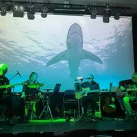 Acoustic Floyd