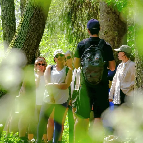 Foraging course – Totally Wild