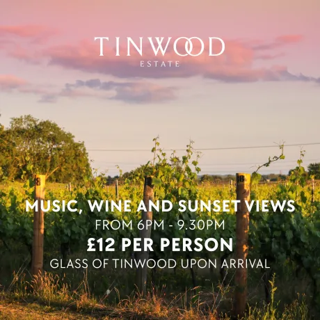 SUNDAY SUNDOWN: ACOUSTIC NIGHT