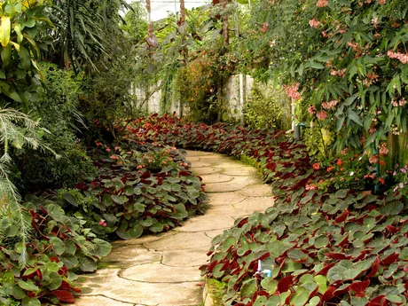 Garden tour with Les Smith
