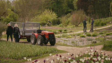 Walled Kitchen Garden Tour