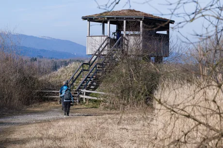 Waterways Nature Connection Programme