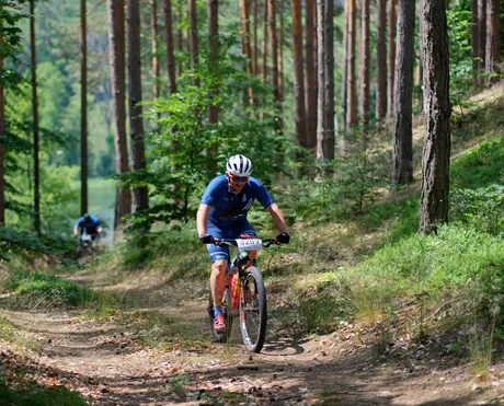Woody's Summer Downhill
