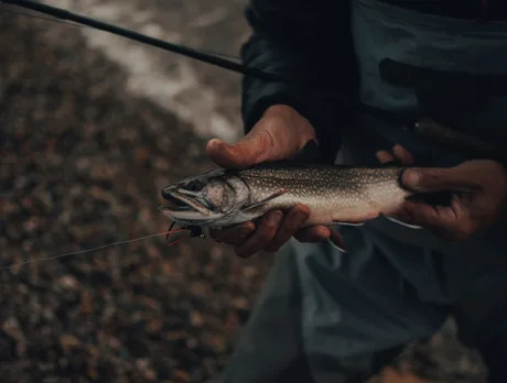 Free Junior Fishing Coaching | Highbridge Angling Association Juniors