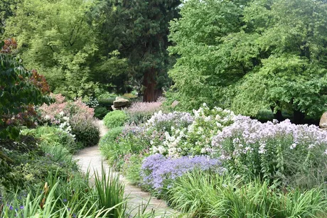 Paint the Gardens