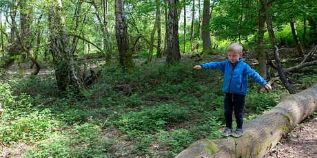 Nature Tots 3-5 Yr Olds and Accompanying Adults, Tilgate Park (110237035)