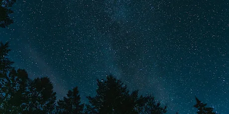 Night Exploration of How Hill National Nature Reserve