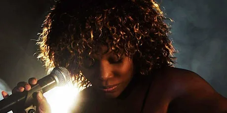 Tina Turner Tribute Night - Aldridge, Walsall