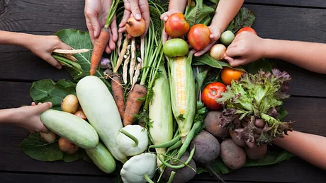 Hands-On Food for a Sustainable Cork with Cork Food Policy Council