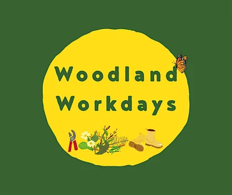 Woodland Workday at Lotherton Hall