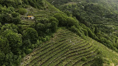 A Grape Odyssey: Greece's Lesser Known Wines