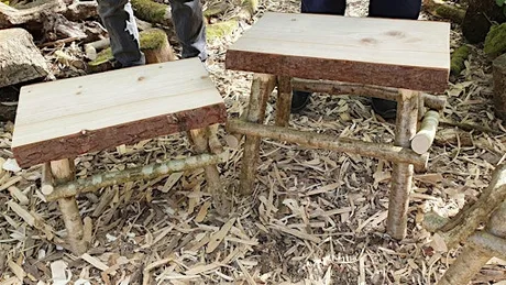Hand Craft A Rustic Stick Frame Stool or Small Table