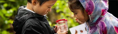 Urban Nature Club at Sydenham Hill Wood: Make a Stop Motion Nature Story