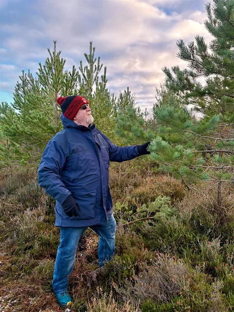 Choose Your Own Culloden Christmas Tree
