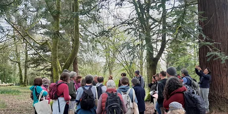Woodland Trust Ancient Tree Inventory Mapping