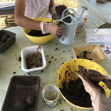 Make Seed Bombs to help Bees and Butterflies