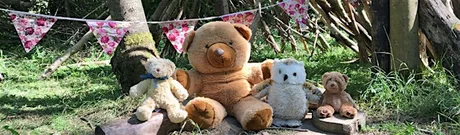 Teddy Bears Picnic at The Hive - Tuesday 18th August 2026
