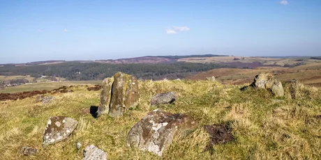 Bogs, burials and boundaries